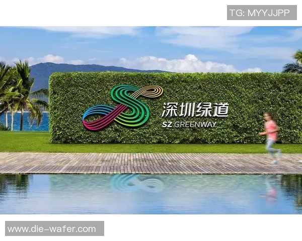 凤凰重生与斯沃普的对决探讨未来数字资产的创新与挑战 凤凰重生与斯沃普的对决探讨未来数字资产的创新与挑战