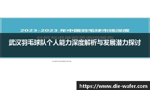 武汉羽毛球队个人能力深度解析与发展潜力探讨