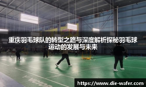 重庆羽毛球队的转型之路与深度解析探秘羽毛球运动的发展与未来