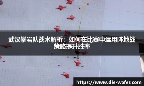 星空·综合体育官方网站