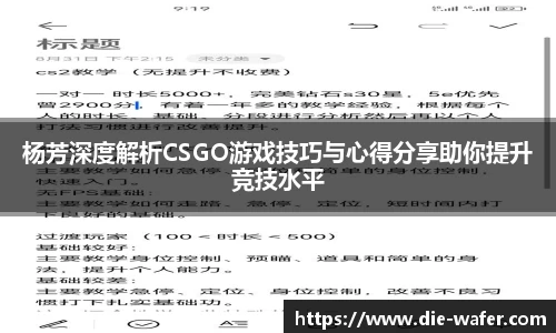杨芳深度解析CSGO游戏技巧与心得分享助你提升竞技水平