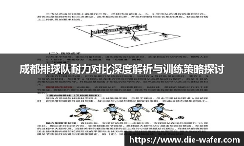 成都排球队耐力对比深度解析与训练策略探讨