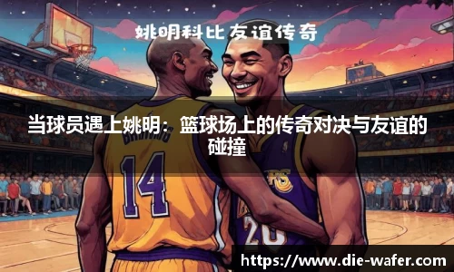 星空·综合体育官方网站