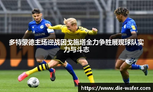 多特蒙德主场迎战因戈施塔全力争胜展现球队实力与斗志